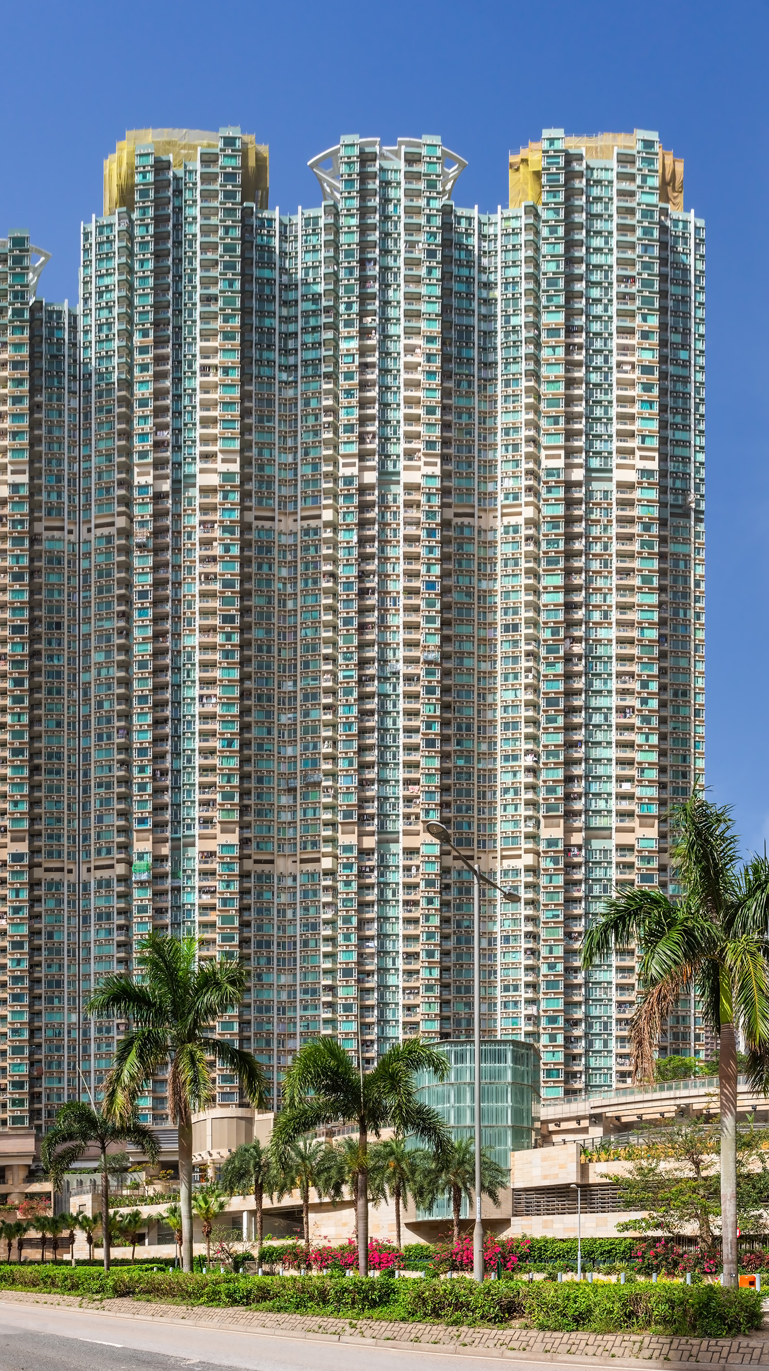 LOHAS Park Le Prestige Towers 2,3,5 - View from the northeast&nbsp;