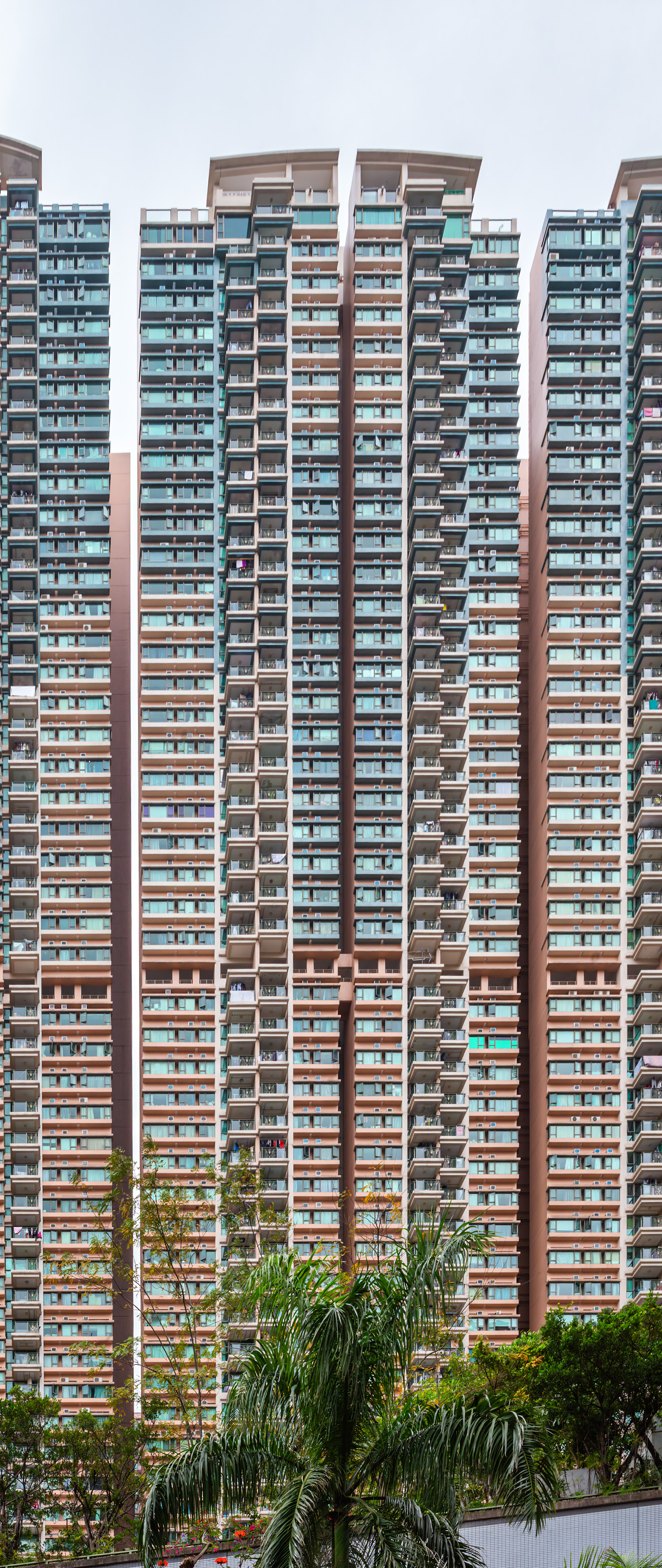 Residence Oasis Tower 3 - Warped perspective&nbsp;